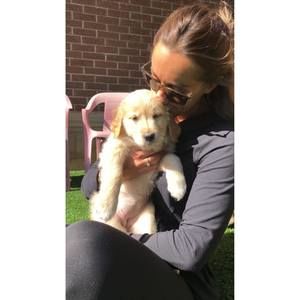 Meet your Posher, Anna